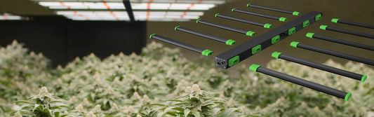 PURE Photons Horti-CLICK 320/640w LED Fixture