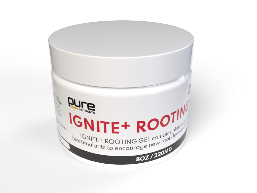 PURE IGNITE+® CLONE GEL