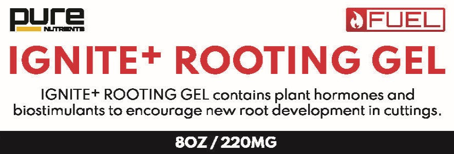 PURE IGNITE+® CLONE GEL