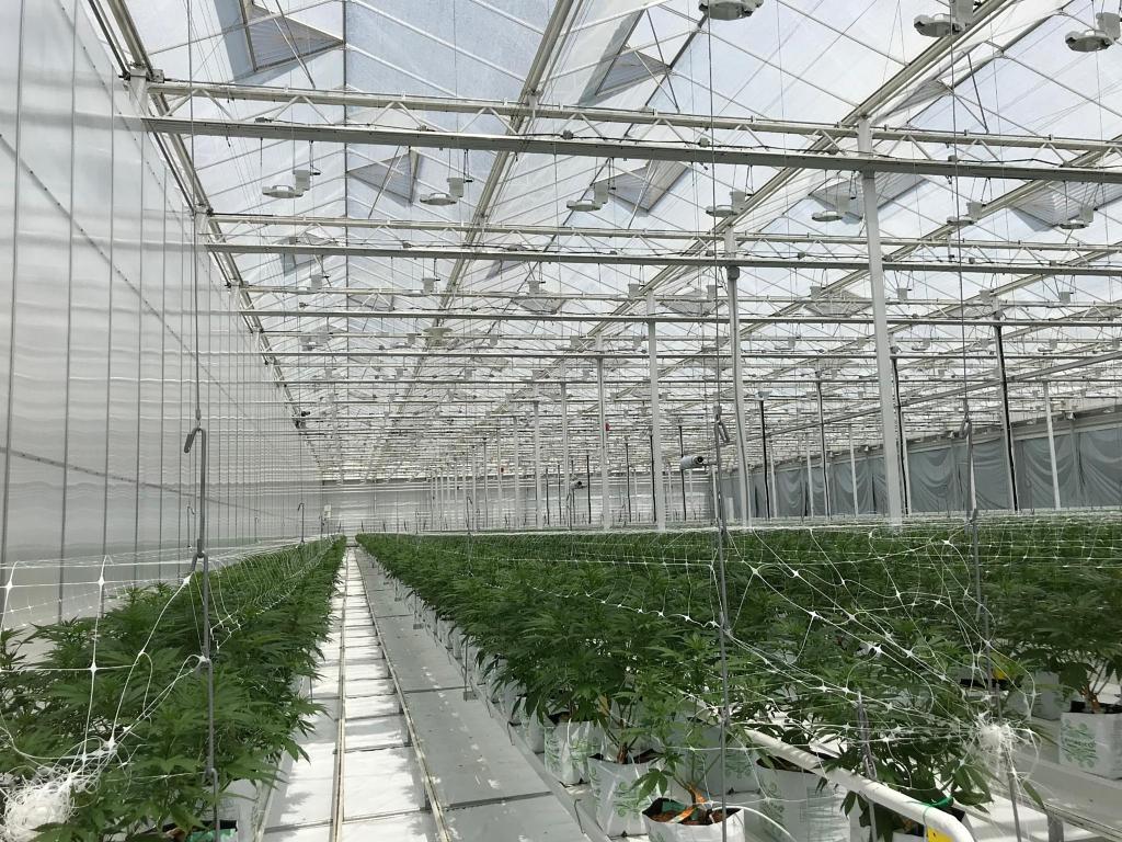 PURE FUEL® Pro Line - CAL BASE Formula 25LB