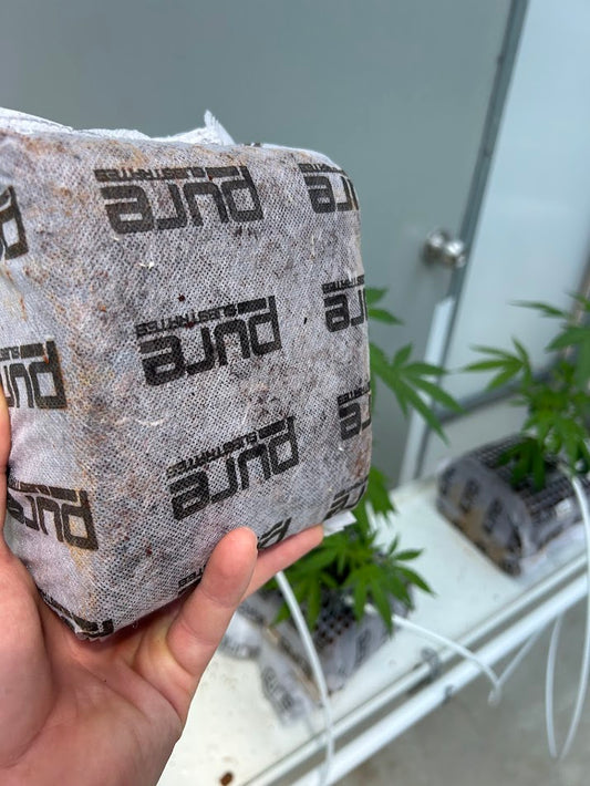 PURE SUBSTRATES Max Air® Coco 0.75 Gallon All-In-One Grow Block