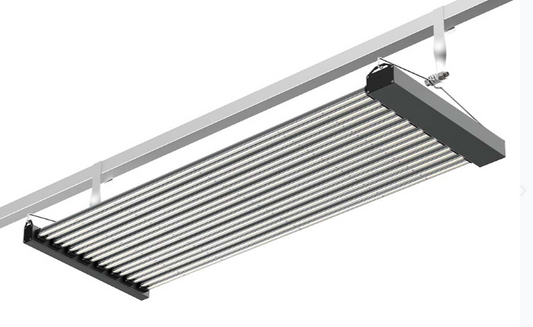 PURE P17 - High Output LED Fixture 820/1640w