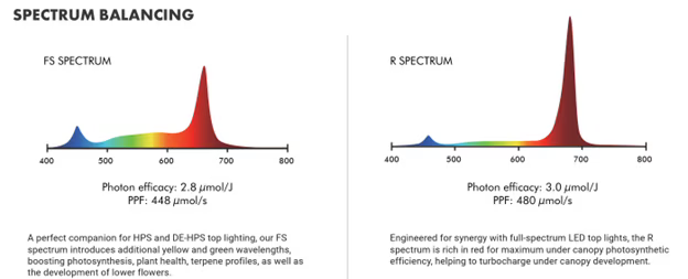 PURE P57 - Under Canopy Light