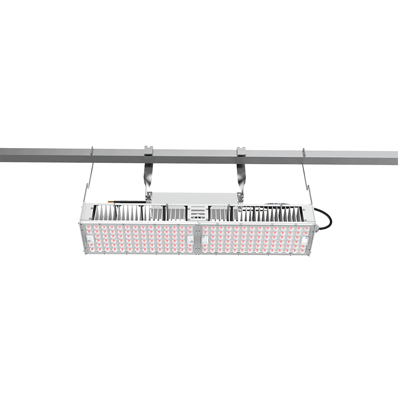 PURE P66 - High Output Adjustable Angle LED Fixture 600/1080w