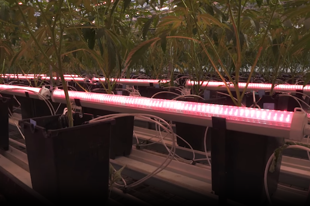 PURE P57 - Under Canopy Light